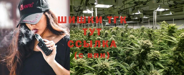 ГАЛЛЮЦИНОГЕННЫЕ ГРИБЫ Балахна