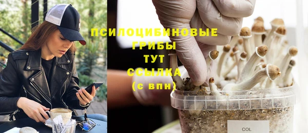 ГАЛЛЮЦИНОГЕННЫЕ ГРИБЫ Балахна