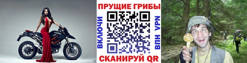 Псилоцибиновые грибы мицелий  наркотики  Семилуки 
